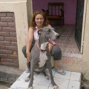 Meet your Posher, Silvia